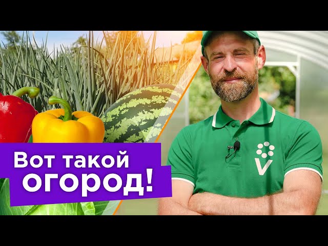 ДЕЛЮСЬ ОПЫТОМ И ПОКАЗЫВАЮ РЕЗУЛЬТАТ! Что я делаю в июле для суперурожаев! Обзор моего сада и огорода