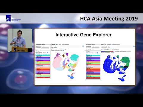 HCA Meeting Asia 2019: The Human Development Cell Atlas: Decoding Human Fetal Liver Hematopoiesis