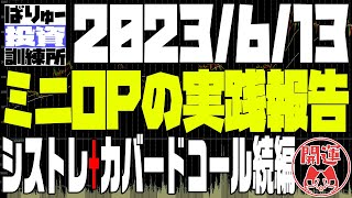 日経の状態チェックとミニOP実践（カバードコール編）