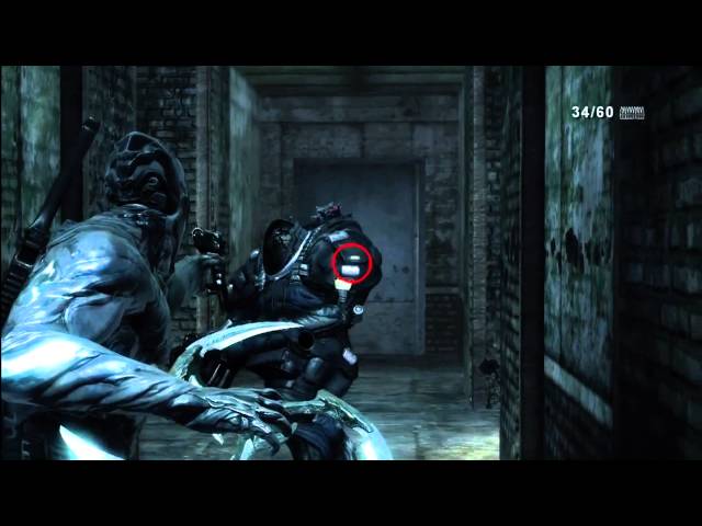 Dark Sector