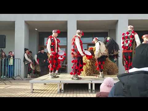 Ursul de la Bădeni...❤️🐻🎄🎉