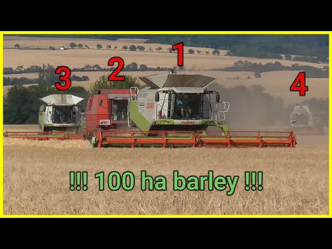 VELKÉ ŽNĚ 2019 - 100 ha Ječmene - 4 kombajny v nasazení - ZD Hnojice