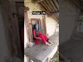 Himachal Village Life Shimla Himachal Pahadi