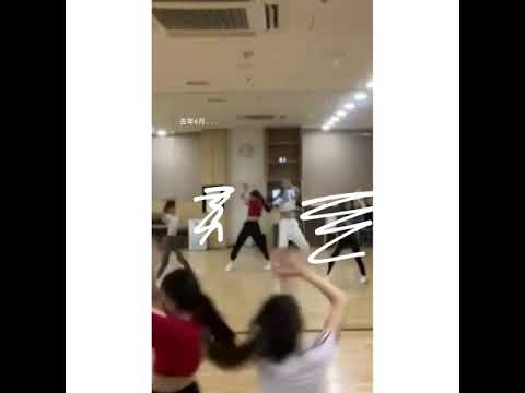 YG GIRL TRAINEES - FORMER / EX