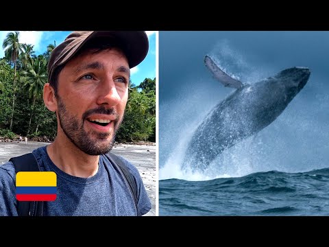Colombia's Pacific Coast is INSANE (this is why I travel!)