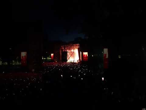 Concierto Dani Martin Vigo