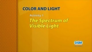 Color and Light - Activity 1: The Spectrum of Visible Light