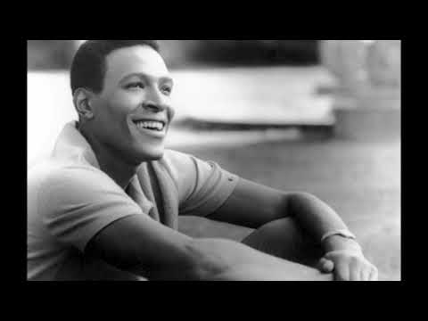 "Sexual Healing (Pimpin' Willlie Extended Silky Remix)(Edit)" by Marvin Gaye