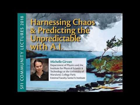 SFI Community Lecture - Michelle Girvan