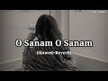 O Sanam O Sanam Slowed Reverb Udit Narayan Pamela Jain Old Lofi Song Sk Lofiii