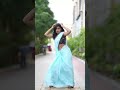 Transparent Saree