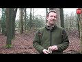 Lichtjes van kunstproject Pixi gaan uit in bos bij Boomkroonpad