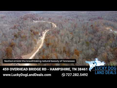 459 OVERHEAD BRIDGE RD - HAMPSHIRE, TN 38461