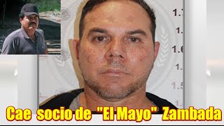 Cae César Gastélum Serrano,  socio de "El Mayo" Zambada
