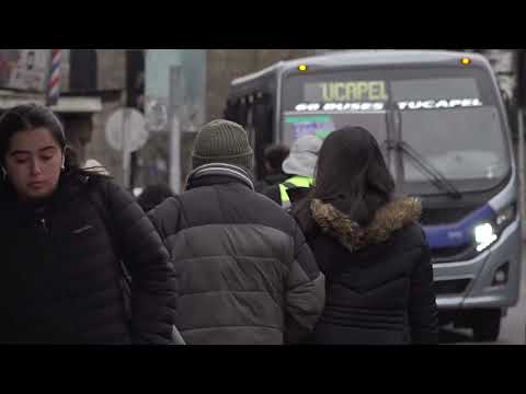 Tras 10 días de internada muere mujer que fue atropellada por microbús en Talcahuano