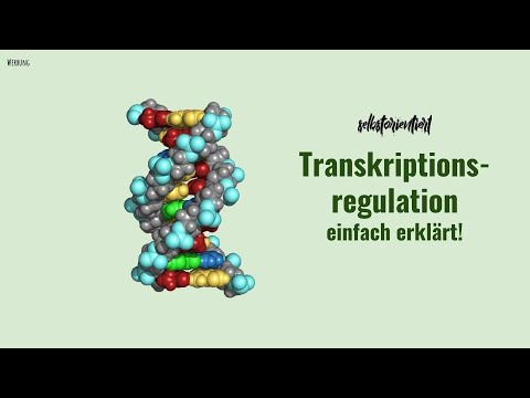 Transkriptionsregulation erklärt - Transkriptionsinitiation | Nukleäre Rezeptoren | Methylierung