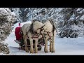 Guitar Instrumental Christmas Music: Peaceful Christmas music "Christmas Woods" by Tim Janis