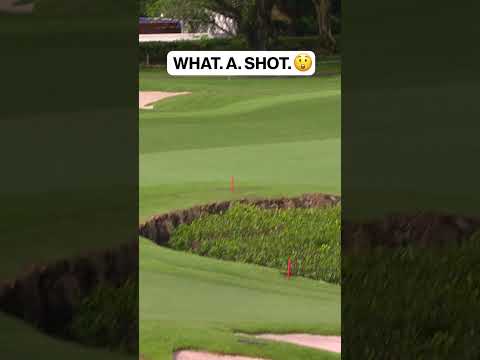 🚨 HOLE OUT! What a shot by Ben Campbell! 😲 #liv #livgolf #golf #golfer #golfswing