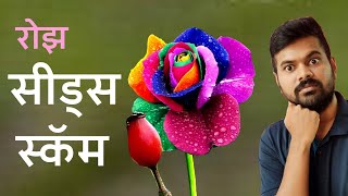 Rose Seed Scam | रोझ सीड स्कॅम