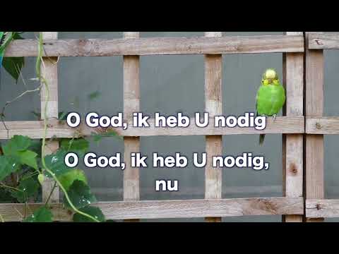 Opwekking 877 U bent Dezelfde