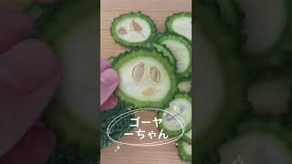 DEEokinawa・ゴーヤーちゃん探し