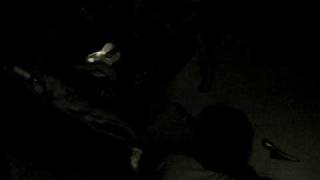 Pebaluna - Sunshine Lullaby