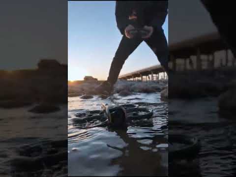 Dji Avata 2 Is Built Different 😳🌊 #dji #shorts #shortsfeed #viralshorts #youtubeshorts #foryou