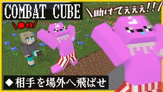 【マイクラ】相手を殴って場外に蹴落とすミニゲーム『COMBAT CUBE』やってみたww【うさごん】