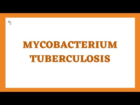 Mycobacterium tuberculosis (TB) - Morphology, Characteristics, Pathogenesis, Lab Diagnosis