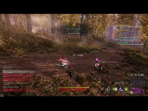 Rapier Musket Wombo Combo