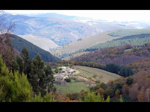 Vídeo: Mesa redonda. Pregunta 3