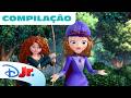 Princess Sofia Disney Princesses Sofia And Merida