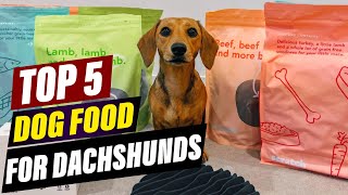 Top 5 Dog Foods for Dachshunds in 2026
