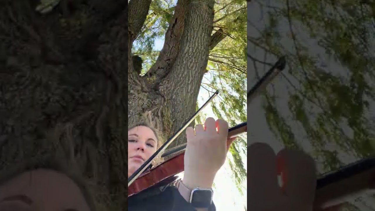 Promotional video thumbnail 12 for Piotrowski Strings