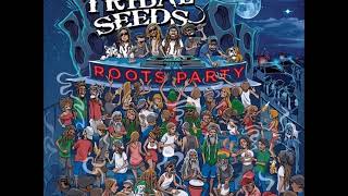 Tribal Seeds - Gunsmoke (feat Protoje)