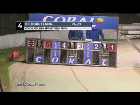 2019 CORAL GOLDEN SPRINT - 2ND SEMI - T4 KILMORE LEMON