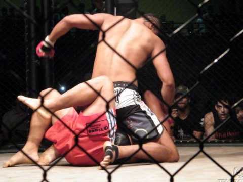 familia predador muay thai