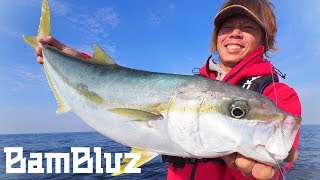 [Introduction to jigging] How to invite jigs-explain how to choose tackles