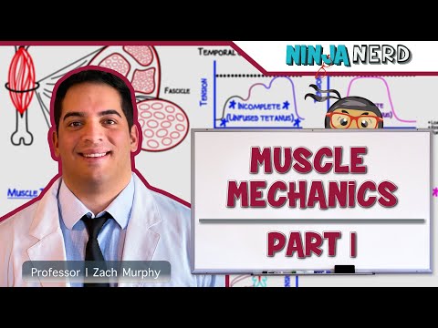 Musculoskeletal System | Muscle Mechanics | Twitch, Summation, & Tetanus