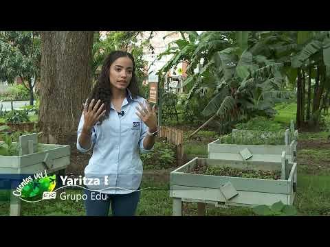 Huerta Urbana Candelaria - Cuentos Verdes 1 de diciembre 2025