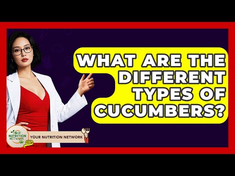 What Are The Different Types Of Cucumbers? - Your Nutrition Network