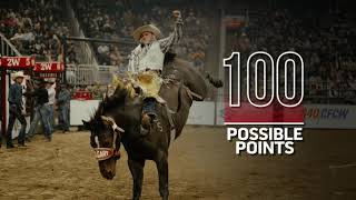Canadian Professional Rodeo Association - Bareback 101