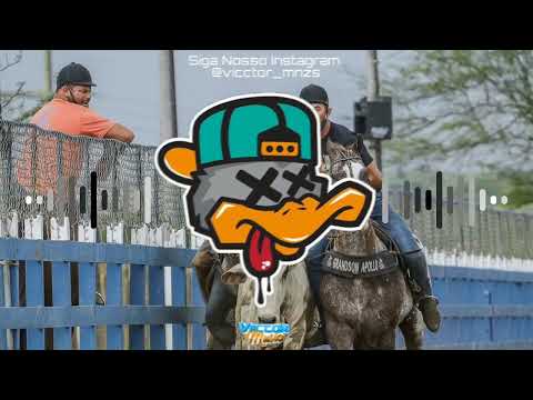 CHOREI, NA VAQUEIJADA EU CHOREI, QUANDO TOCOU A NOSSA MÚSICA LEMBREI - TARCÍSIO DO ACORDEON, ERIC