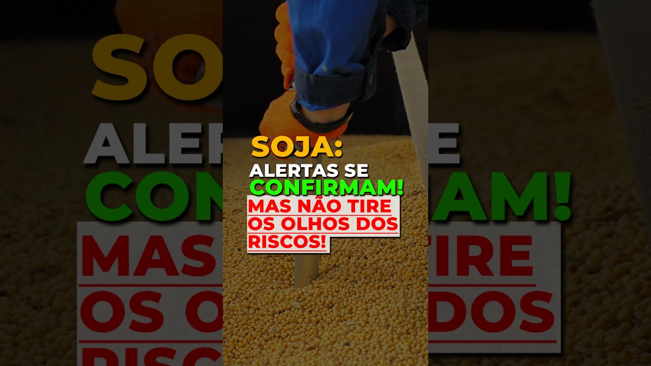 SOJA: ALERTAS SE CONFIRMAM! MAS NÃO TIRE OS OLHOS DOS RISCOS!