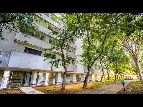 SQN 215 | Apartamento com 3 Quartos - 2 Suítes | Asa Norte
