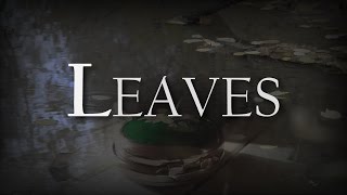 XIII Meridian - Leaves (Official video)