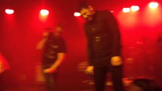 Act III: Modulate Back to the Tonic by The Sound if Animals