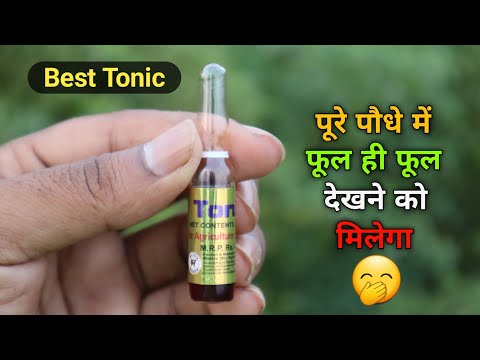 Plant Growth Regulators