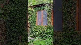 Get away to the jungles of Guatemala: Lake Atitlan jungle hotel highlights #guatemala #travel