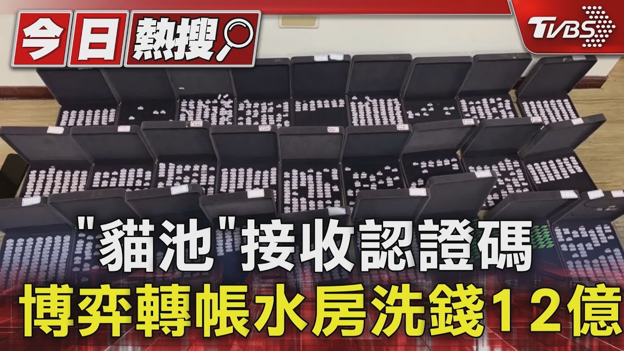 「貓池」接收認證碼 博弈轉帳水房洗錢12億